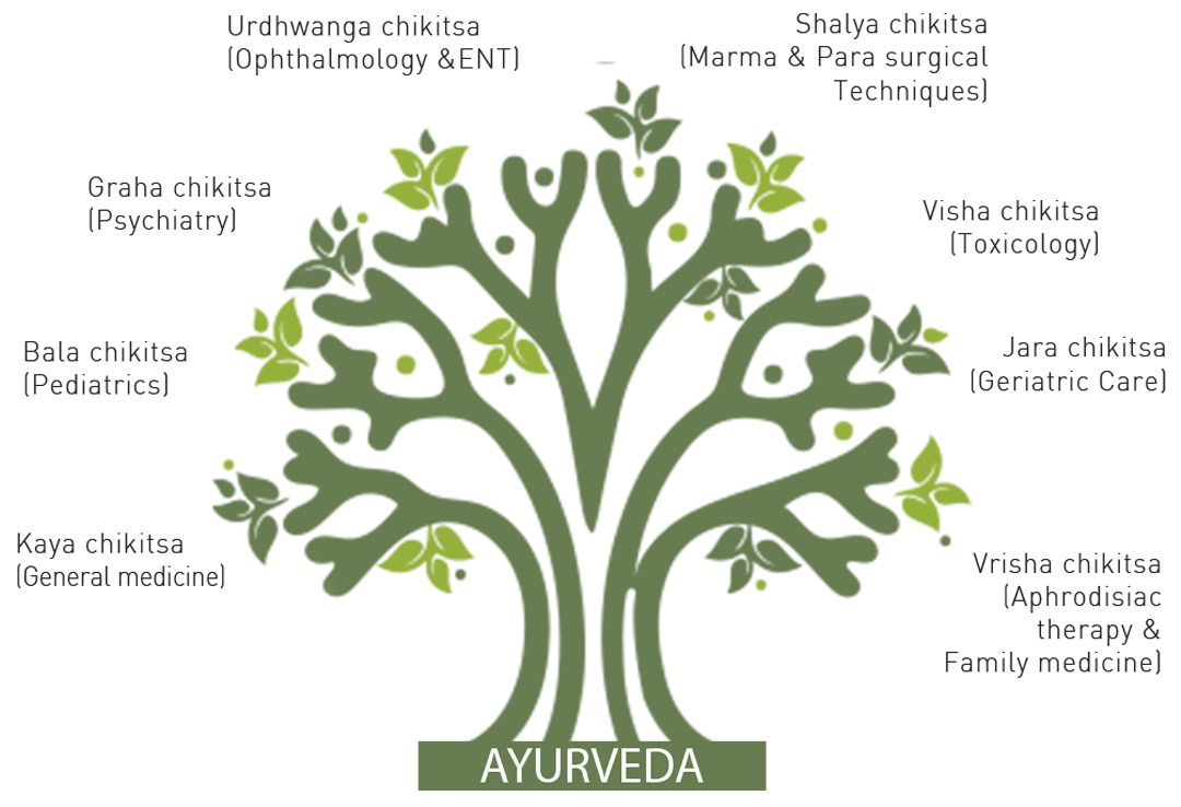 raha Ayurveda departments
