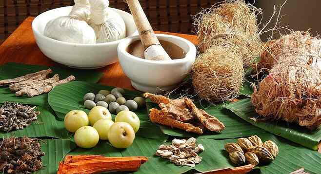 ayurvedic herbs for respiratory health