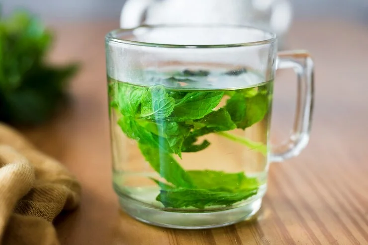 mint leaves for acidity relief