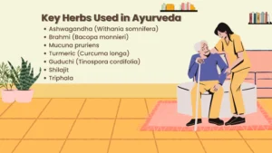 Key Hearbs Used In Ayurveda